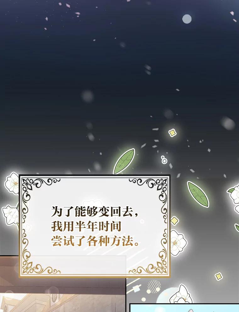 《大公家的狐狸皇女》2.坎坷的人生 第66页