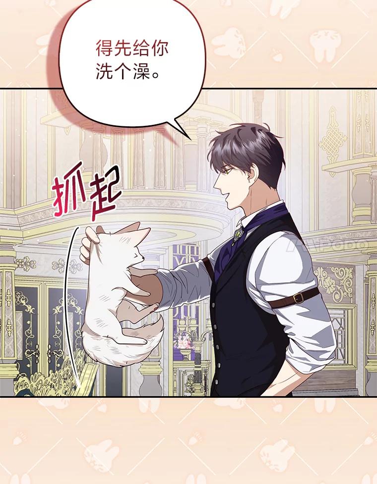 《大公家的狐狸皇女》3.求收养！ 第70页