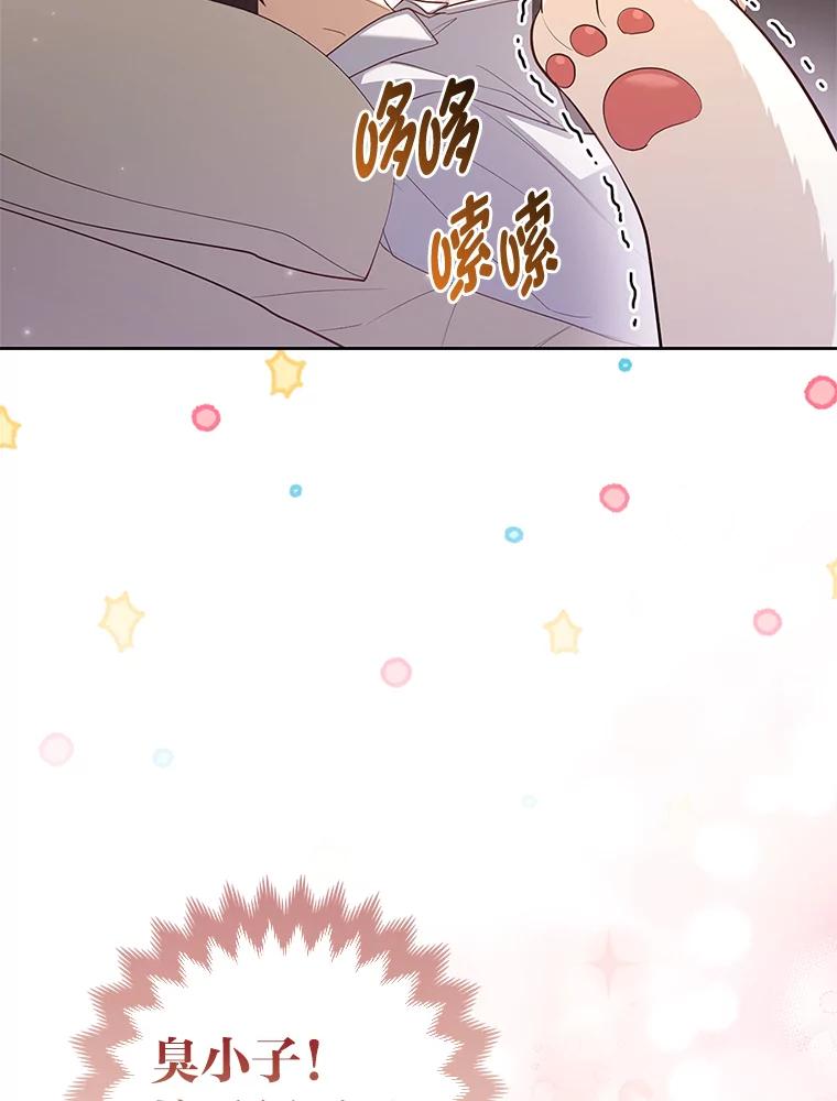 《大公家的狐狸皇女》3.求收养！ 第95页