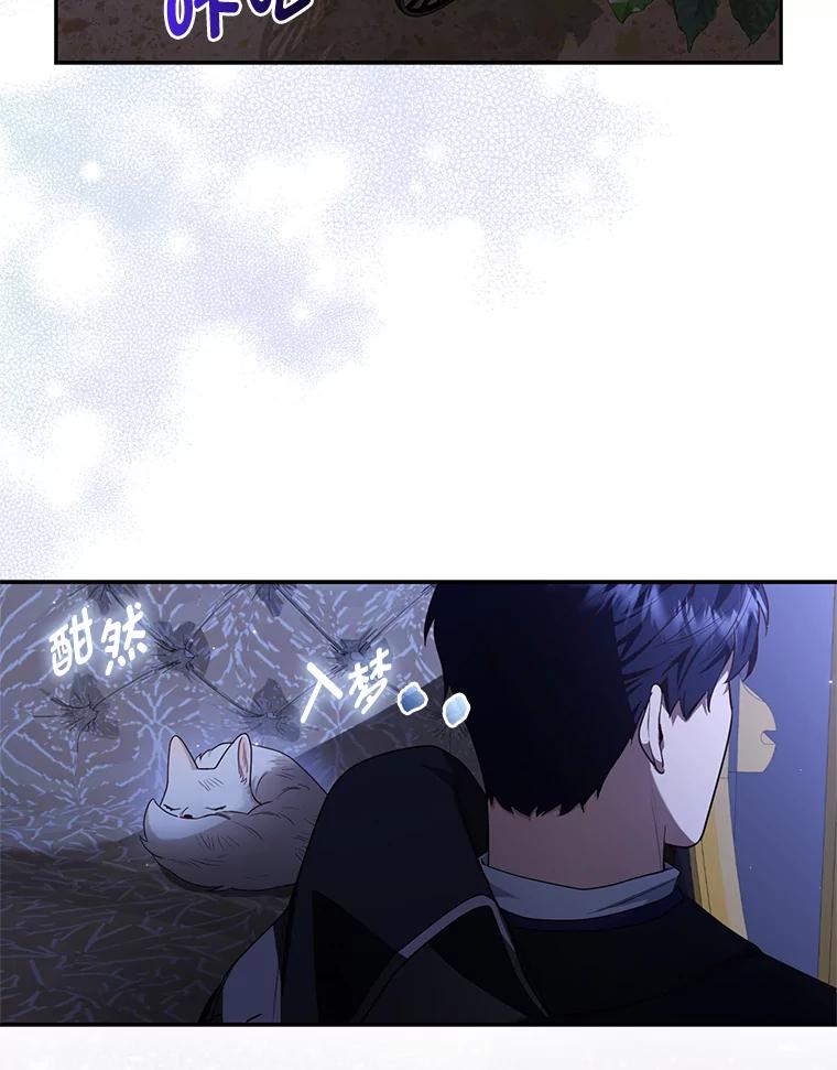 《大公家的狐狸皇女》3.求收养！ 第55页