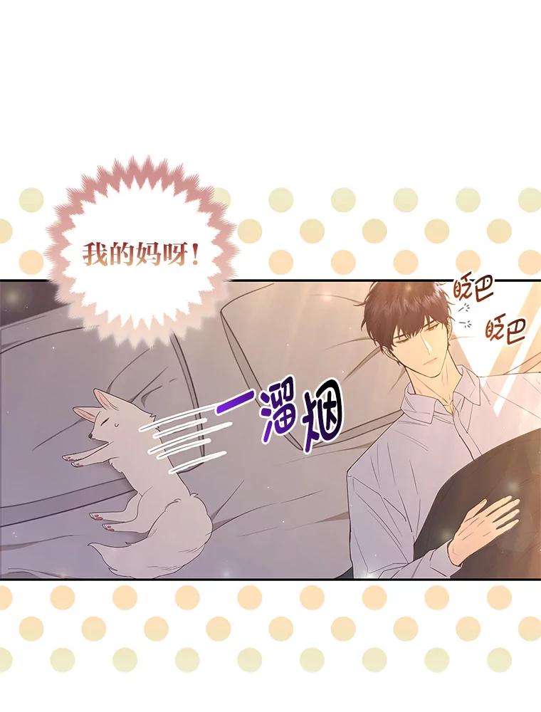 《大公家的狐狸皇女》3.求收养！ 第98页
