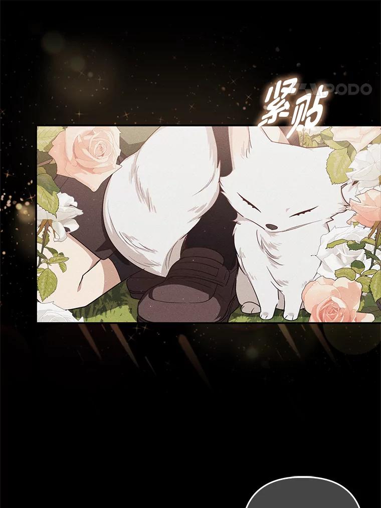 《大公家的狐狸皇女》3.求收养！ 第28页