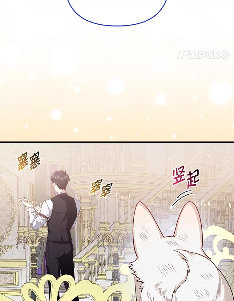 《大公家的狐狸皇女》3.求收养！ 第67页