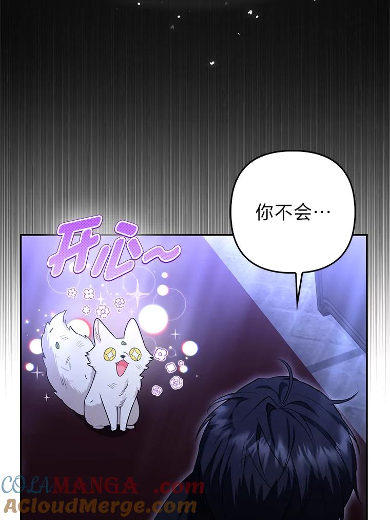 《大公家的狐狸皇女》3.求收养！ 第33页