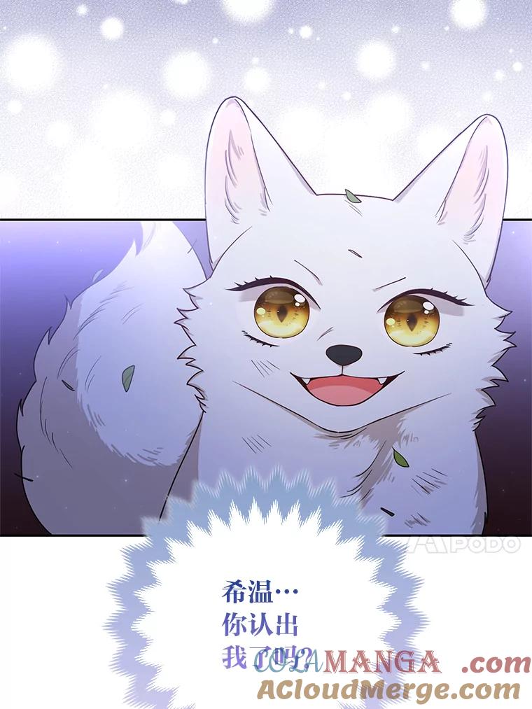 《大公家的狐狸皇女》3.求收养！ 第21页