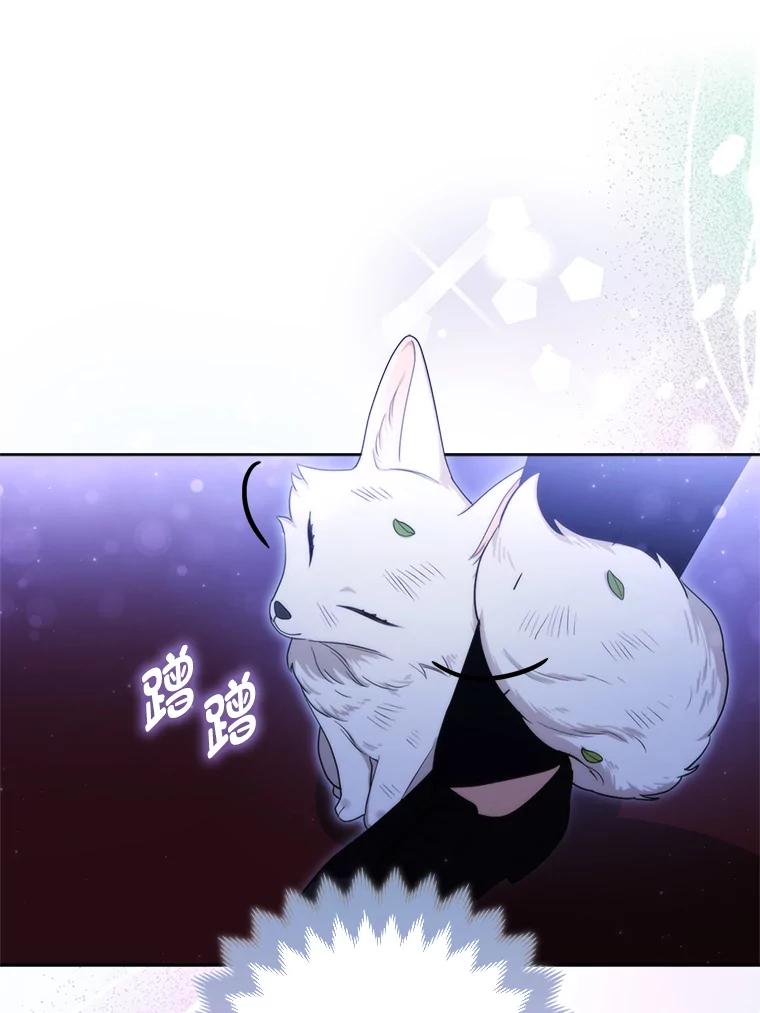 《大公家的狐狸皇女》3.求收养！ 第38页