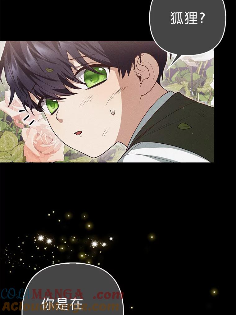 《大公家的狐狸皇女》3.求收养！ 第29页