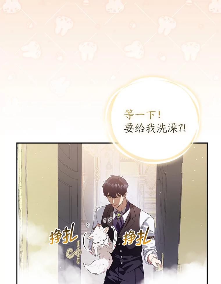 《大公家的狐狸皇女》3.求收养！ 第71页