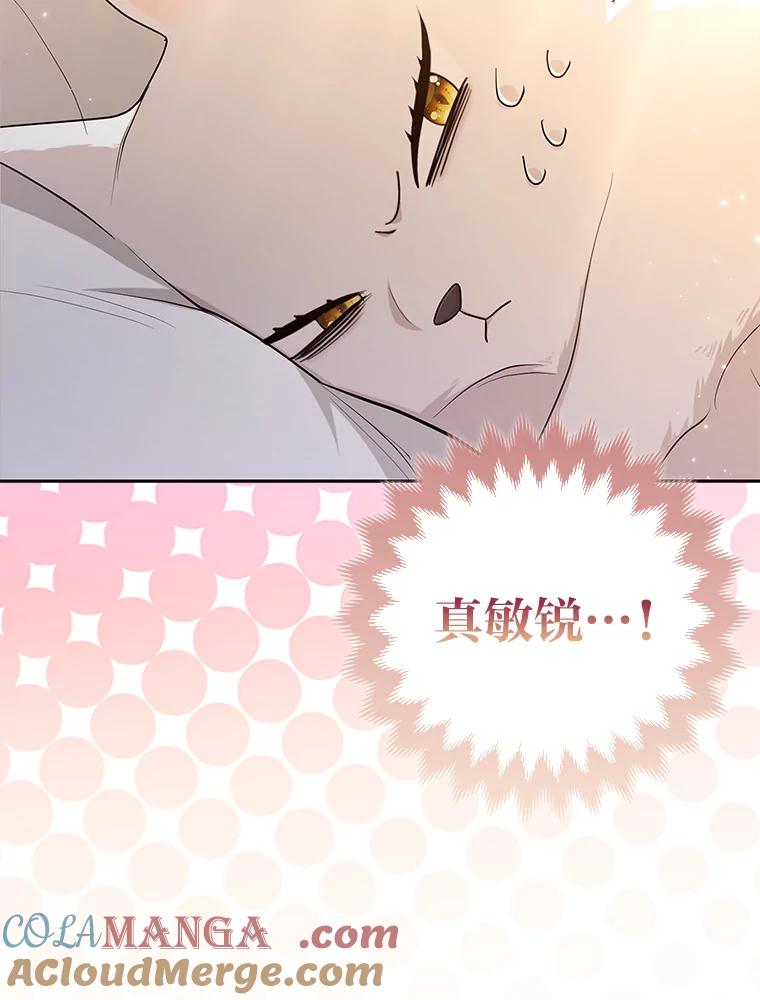 《大公家的狐狸皇女》3.求收养！ 第101页