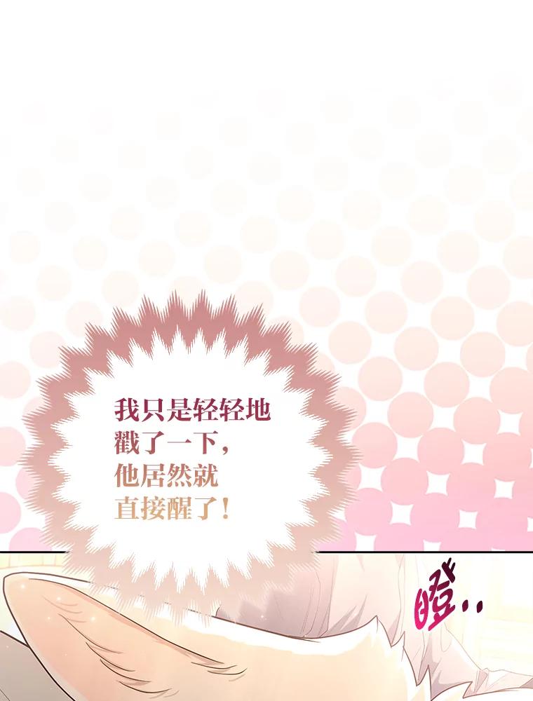 《大公家的狐狸皇女》3.求收养！ 第100页