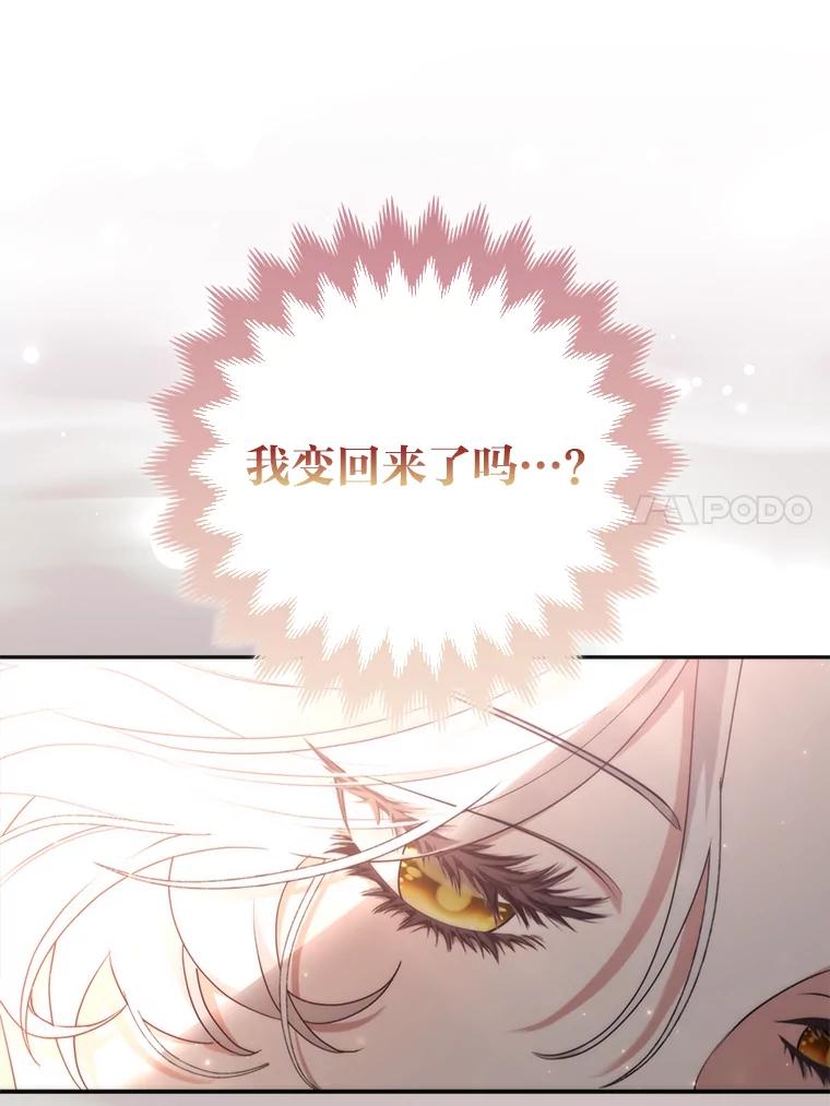 《大公家的狐狸皇女》3.求收养！ 第80页