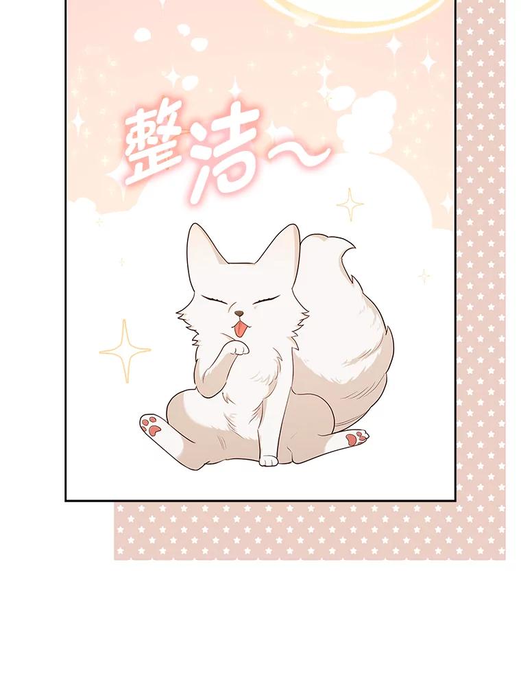 《大公家的狐狸皇女》3.求收养！ 第91页