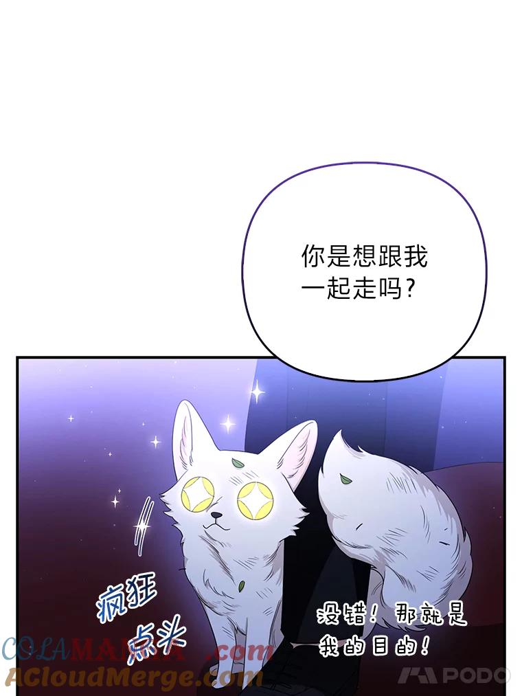 《大公家的狐狸皇女》3.求收养！ 第41页