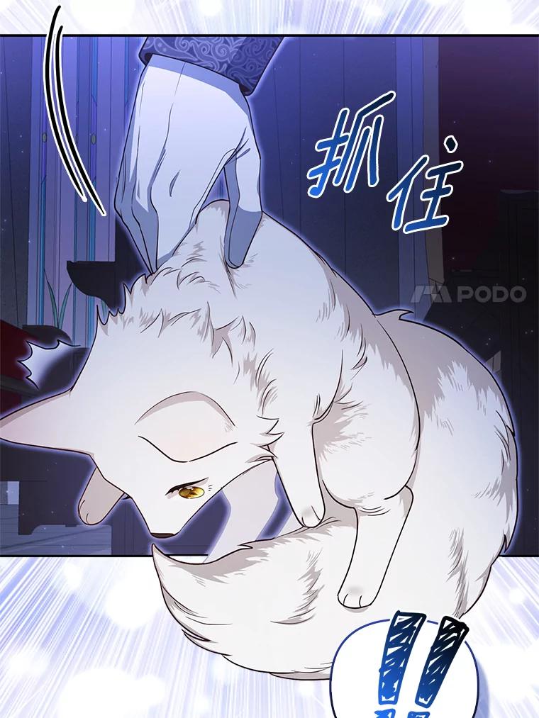 《大公家的狐狸皇女》3.求收养！ 第47页