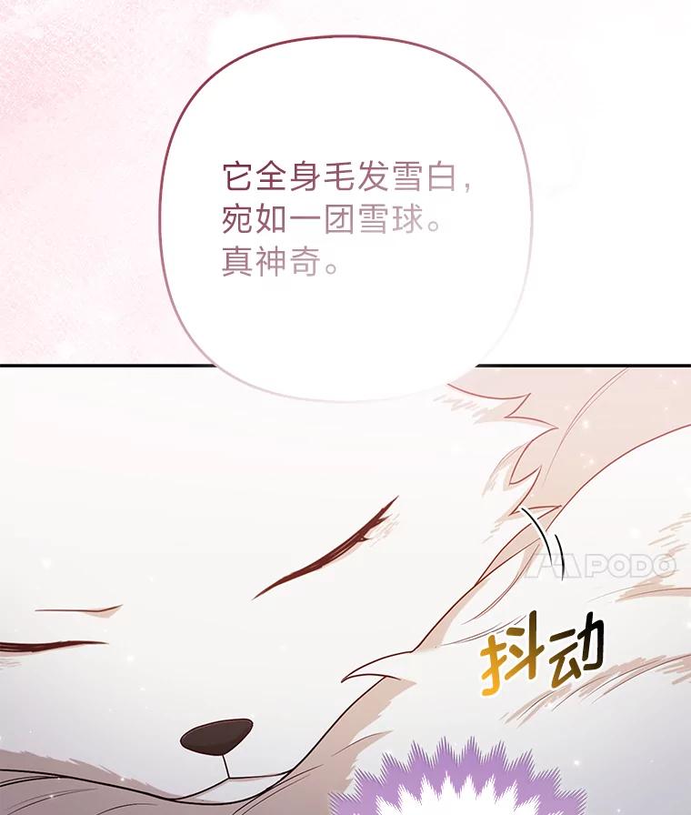 《大公家的狐狸皇女》4.我的狐狸 第19页