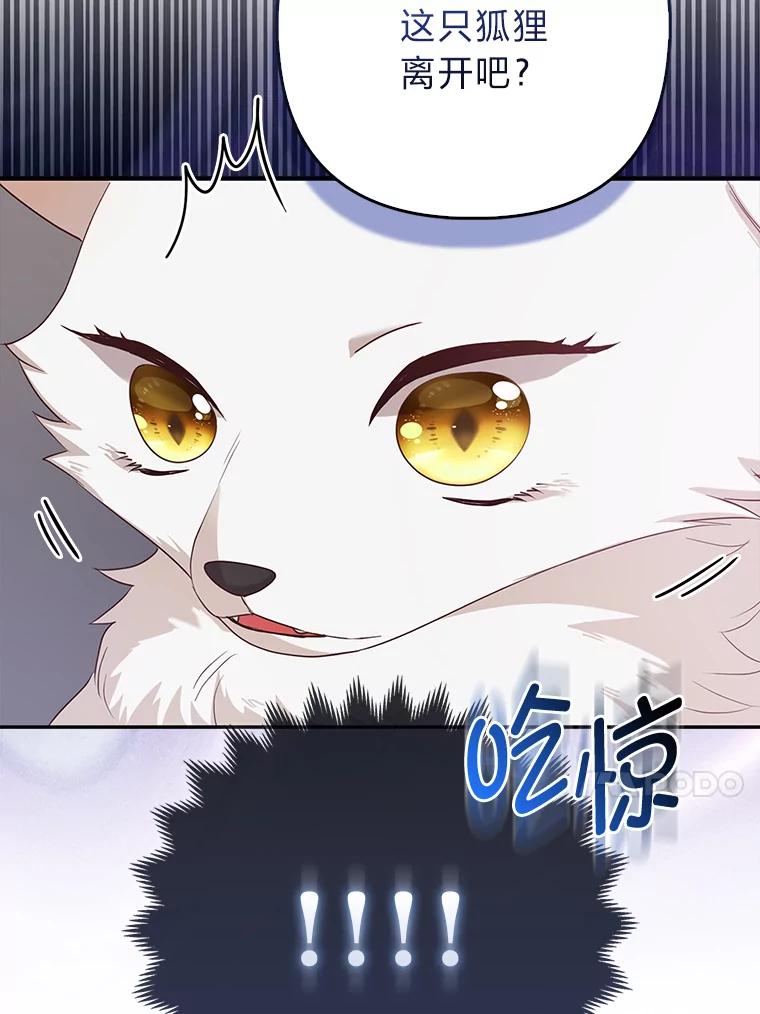 《大公家的狐狸皇女》4.我的狐狸 第32页