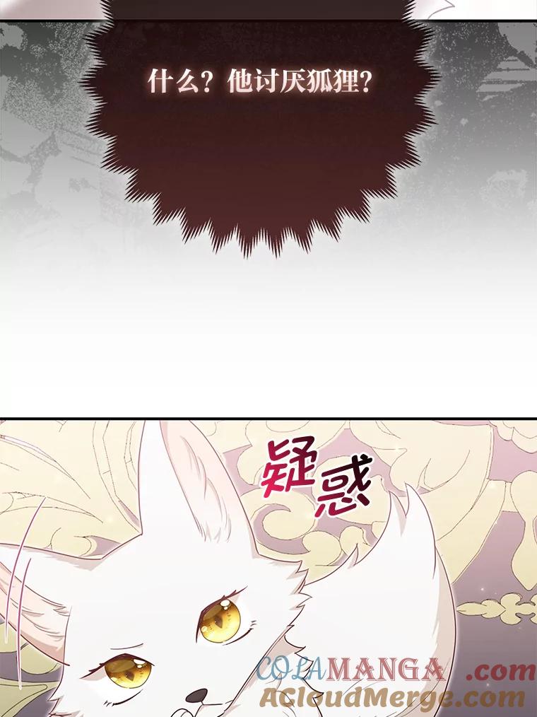 《大公家的狐狸皇女》4.我的狐狸 第25页