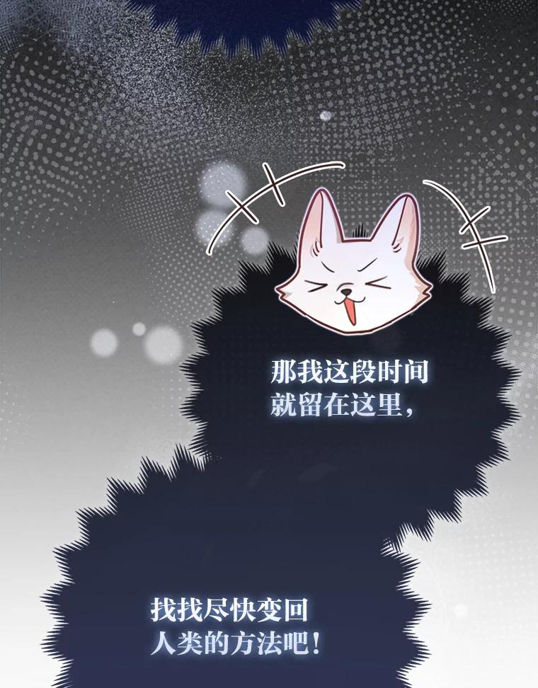 《大公家的狐狸皇女》4.我的狐狸 第95页