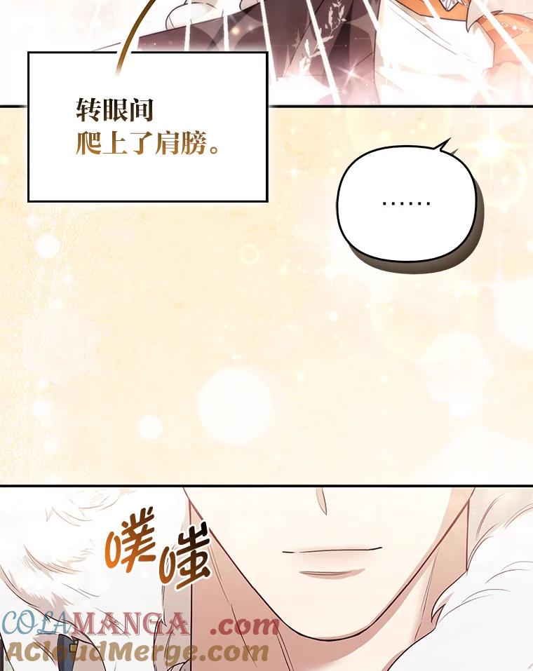 《大公家的狐狸皇女》4.我的狐狸 第85页