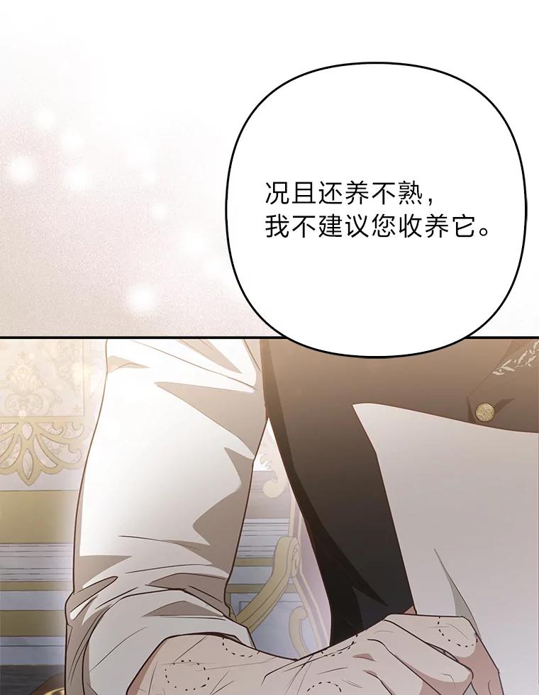 《大公家的狐狸皇女》4.我的狐狸 第104页