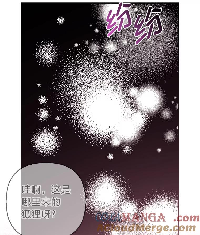 《大公家的狐狸皇女》4.我的狐狸 第17页
