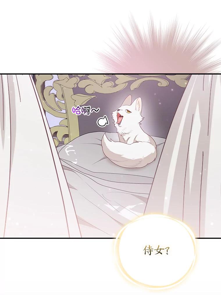 《大公家的狐狸皇女》4.我的狐狸 第22页