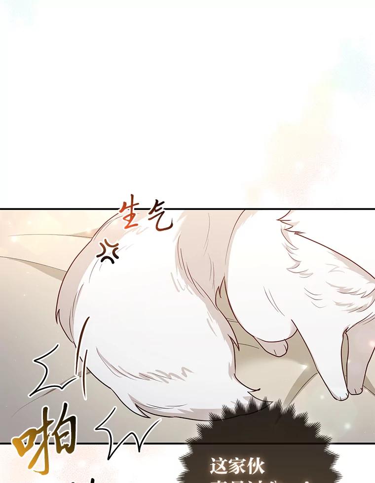 《大公家的狐狸皇女》5.起名字 第6页