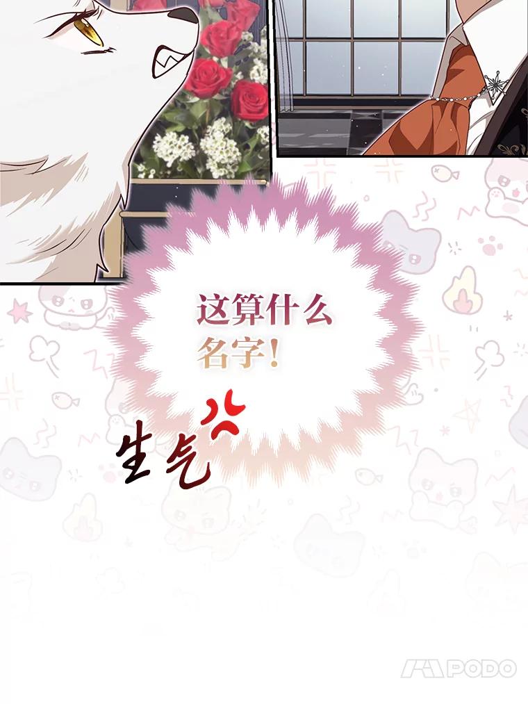 《大公家的狐狸皇女》5.起名字 第91页