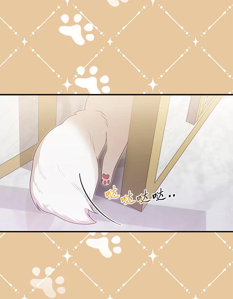 《大公家的狐狸皇女》5.起名字 第40页