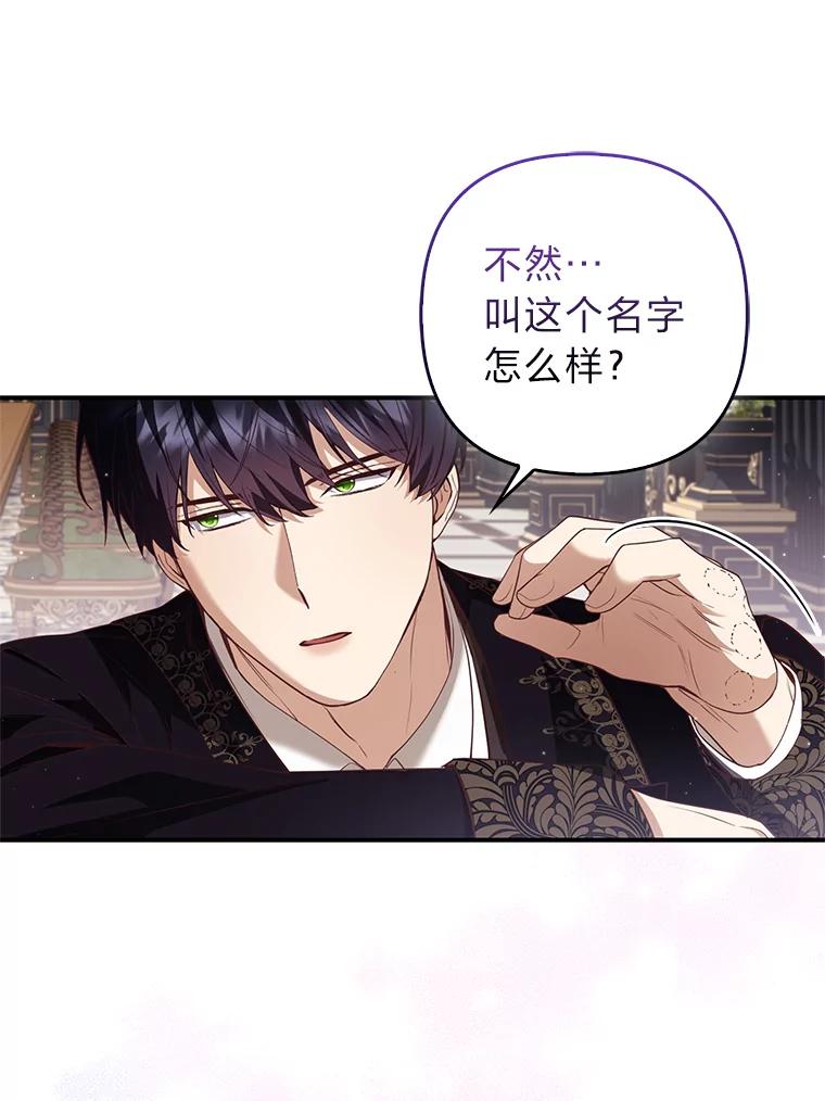 《大公家的狐狸皇女》5.起名字 第94页