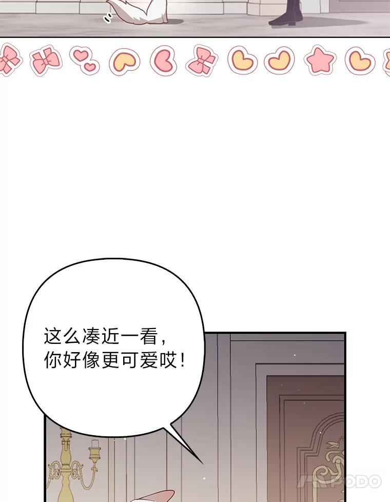 《大公家的狐狸皇女》5.起名字 第51页