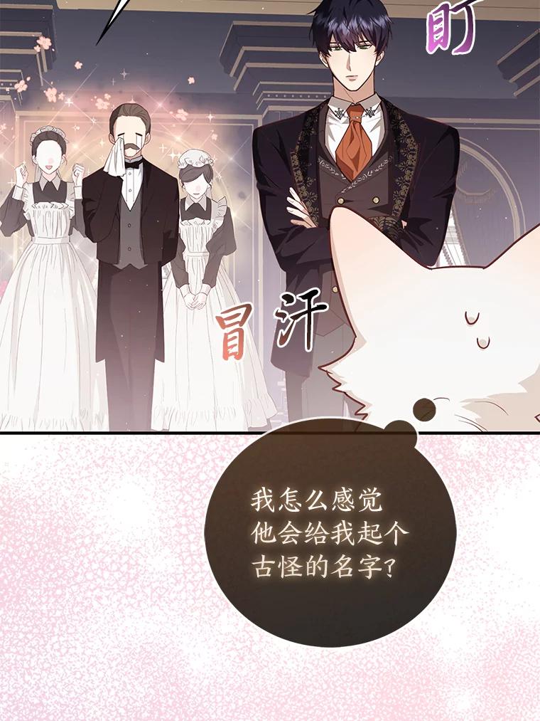 《大公家的狐狸皇女》5.起名字 第87页