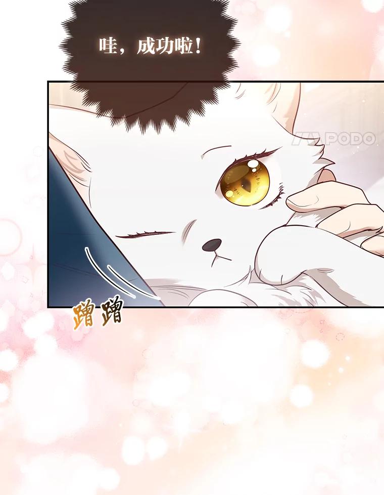 《大公家的狐狸皇女》5.起名字 第55页