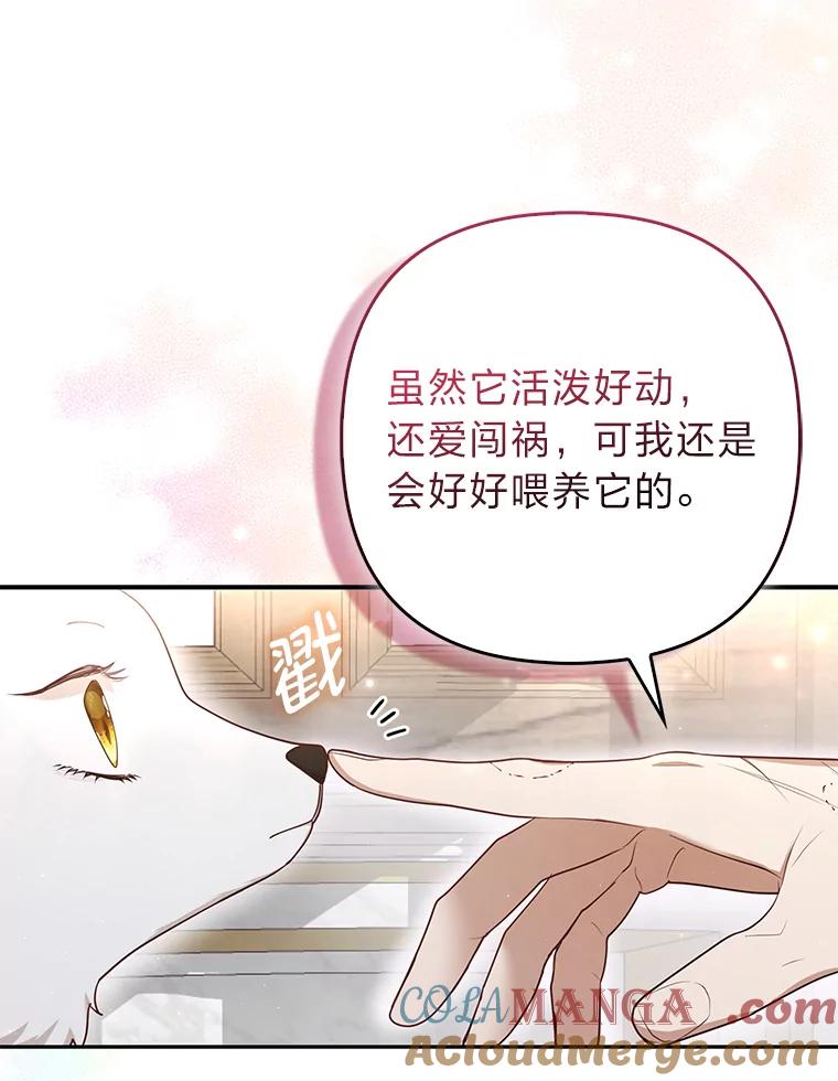 《大公家的狐狸皇女》5.起名字 第5页