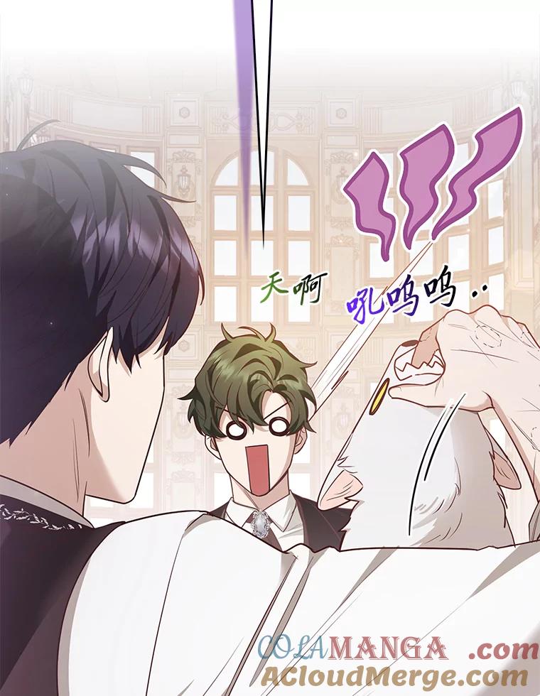 《大公家的狐狸皇女》5.起名字 第9页