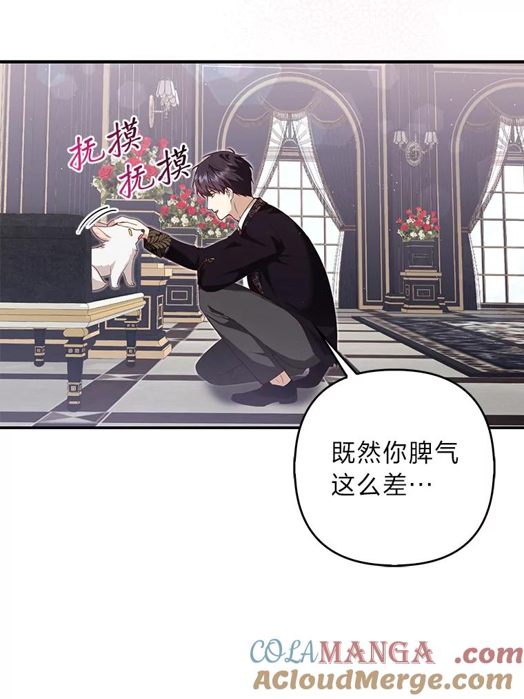 《大公家的狐狸皇女》5.起名字 第89页