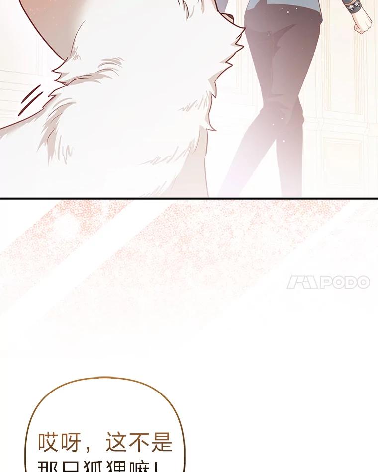 《大公家的狐狸皇女》5.起名字 第48页