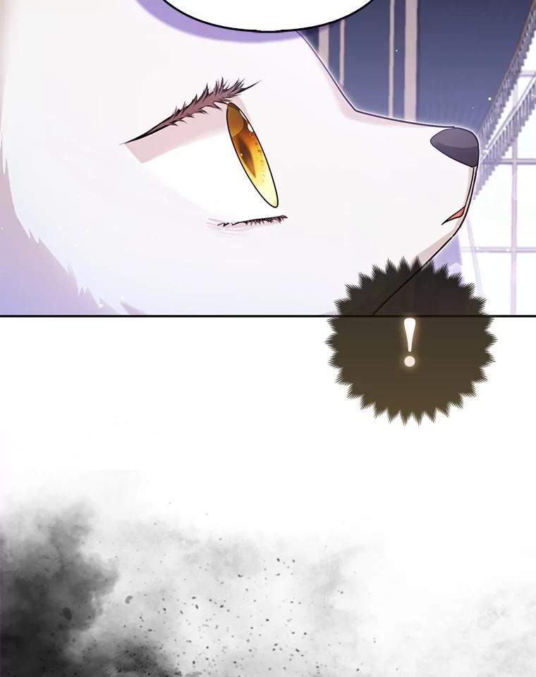 《大公家的狐狸皇女》6.早已洞察的大公 第47页
