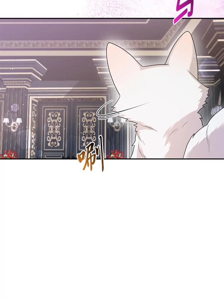 《大公家的狐狸皇女》6.早已洞察的大公 第59页