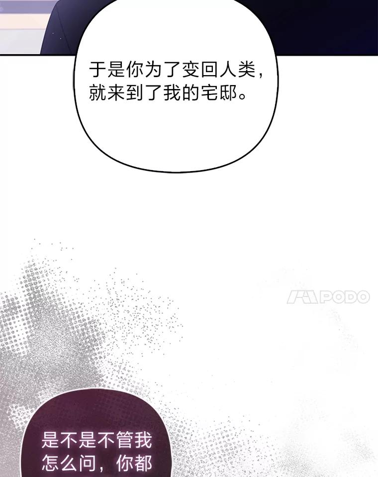 《大公家的狐狸皇女》6.早已洞察的大公 第51页