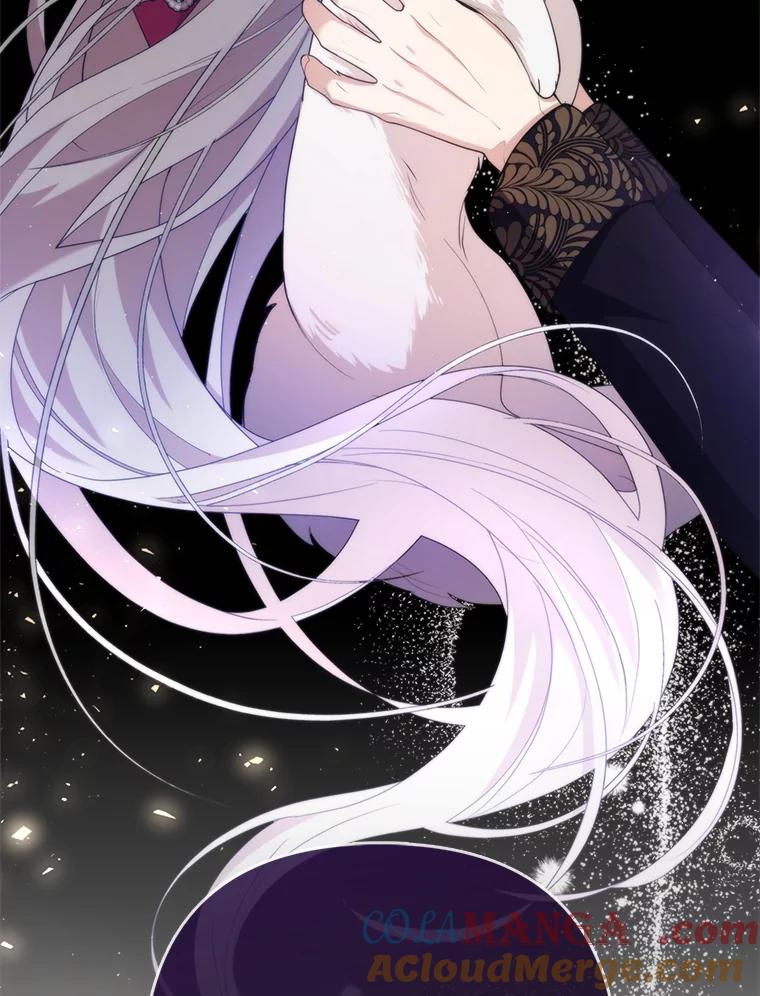 《大公家的狐狸皇女》6.早已洞察的大公 第16页
