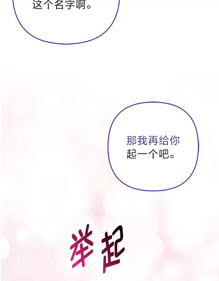《大公家的狐狸皇女》6.早已洞察的大公 第11页