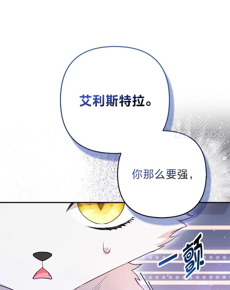 《大公家的狐狸皇女》6.早已洞察的大公 第41页
