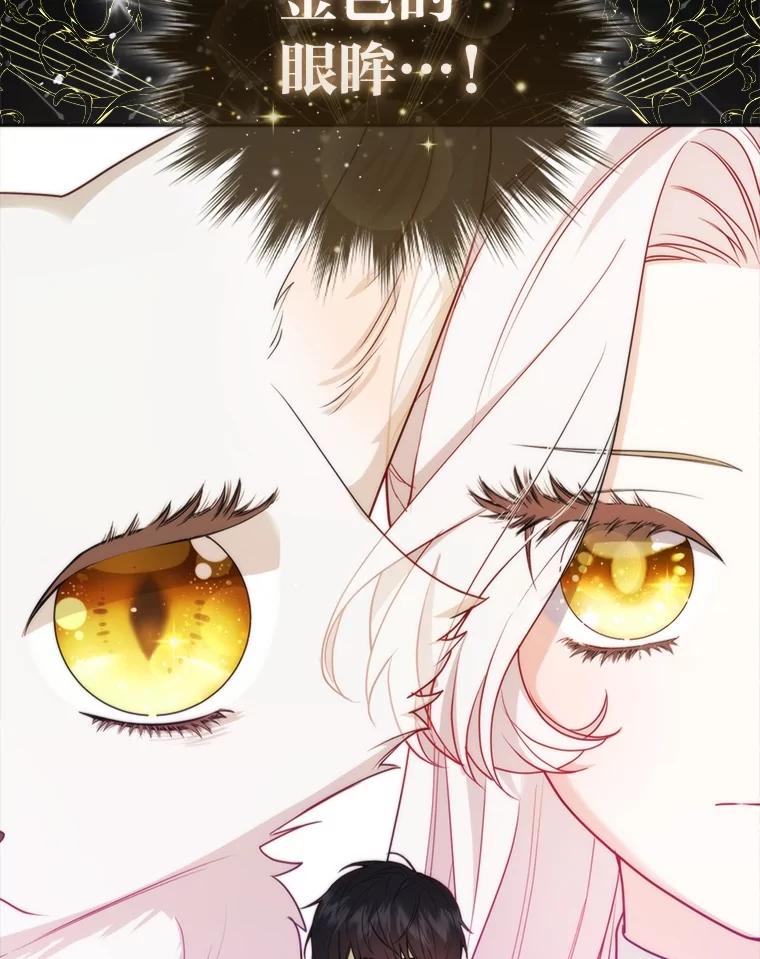 《大公家的狐狸皇女》6.早已洞察的大公 第36页