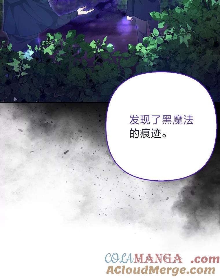 《大公家的狐狸皇女》6.早已洞察的大公 第49页