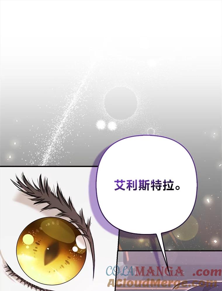 《大公家的狐狸皇女》6.早已洞察的大公 第13页