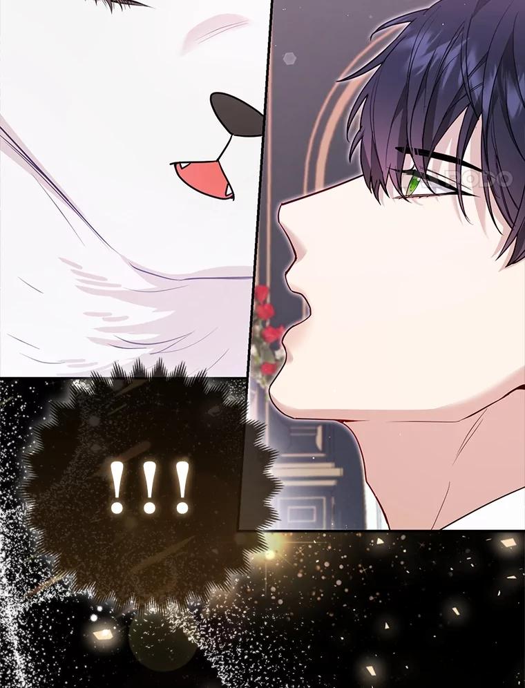 《大公家的狐狸皇女》6.早已洞察的大公 第14页