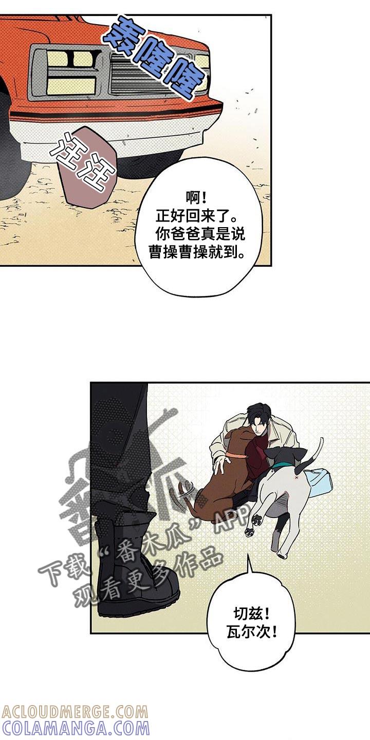 《狂沙肆虐》第71章：找死 第19页
