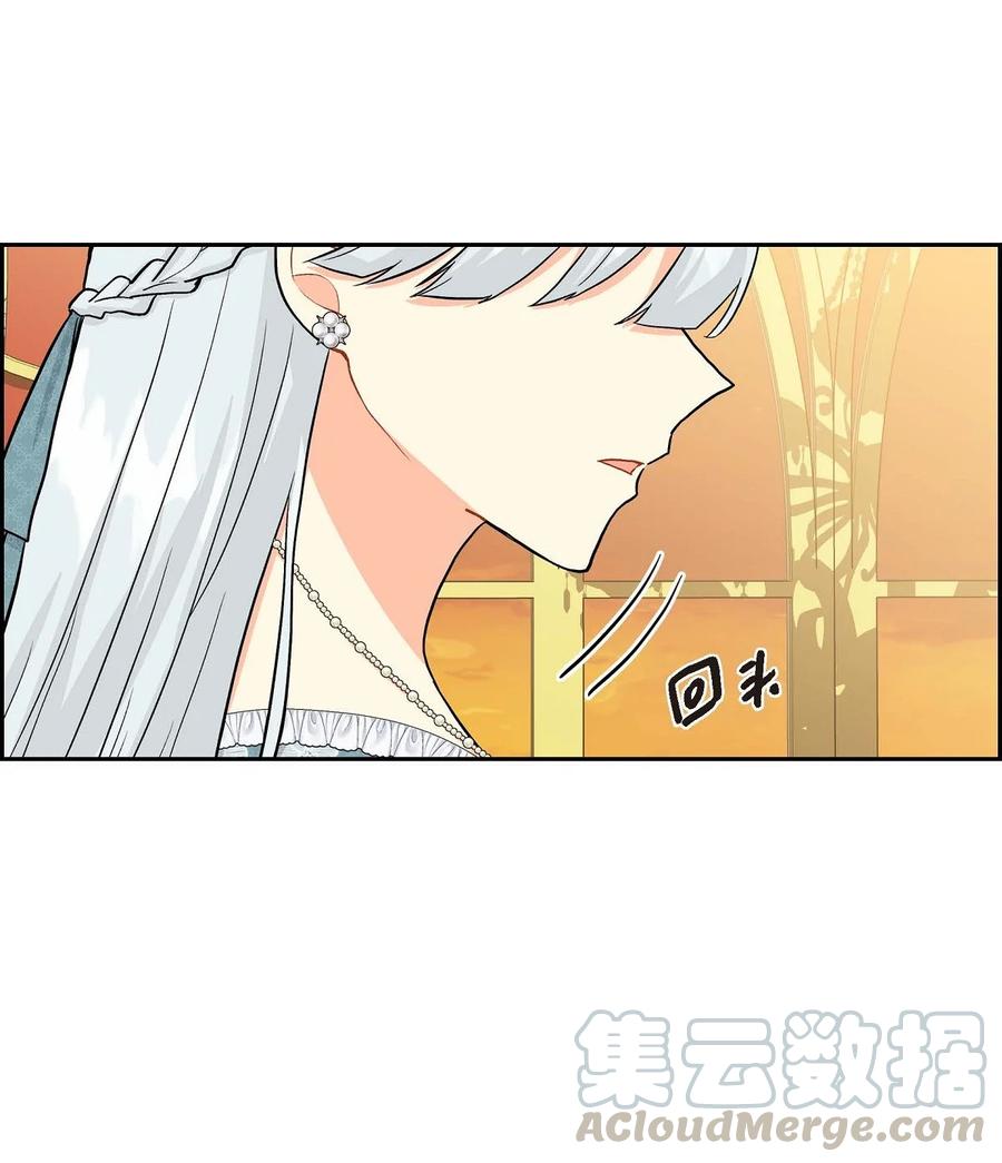 《待破灭男主爱上我》27 哈默尼亚项链 第13页