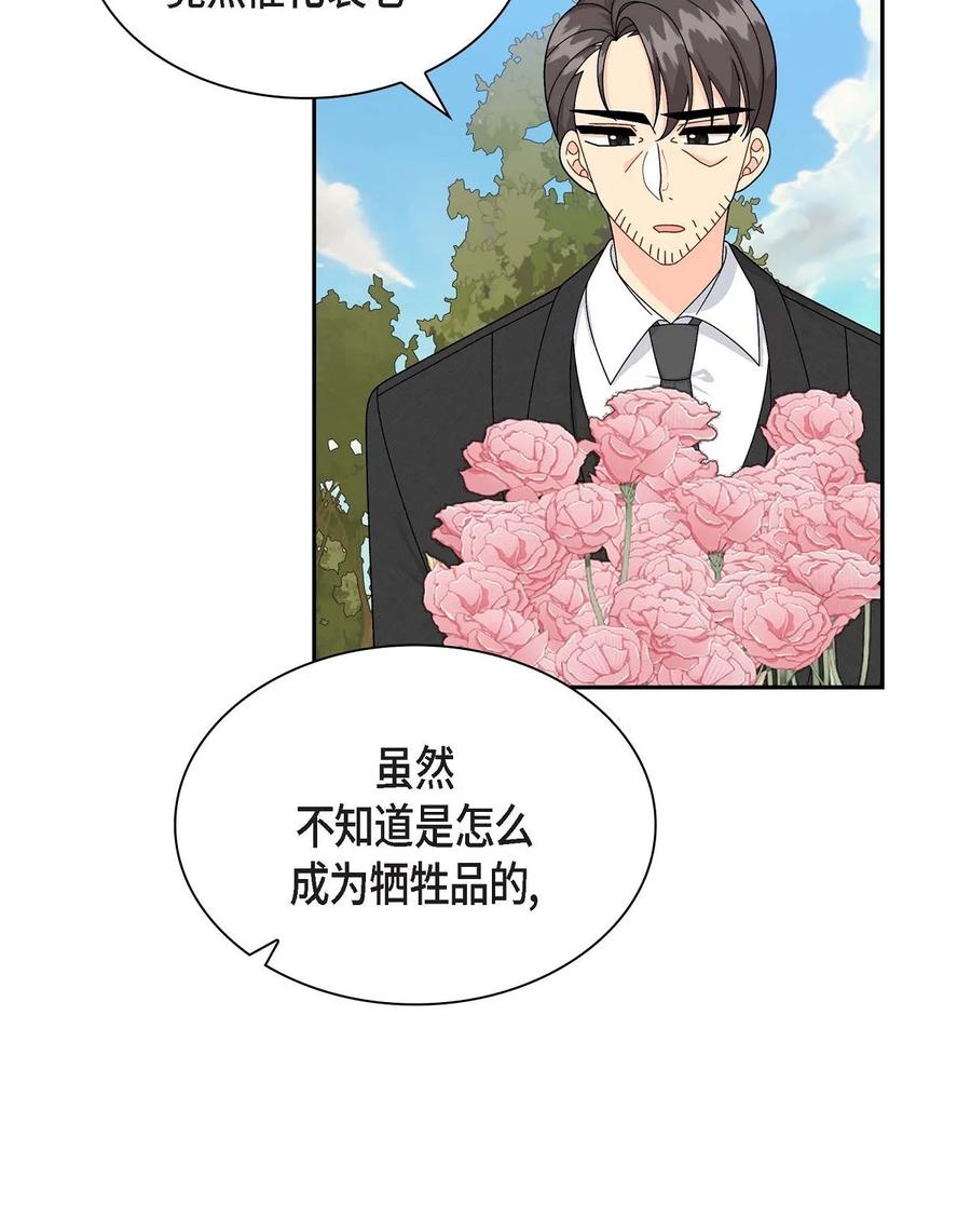 《待破灭男主爱上我》69 复活 第54页